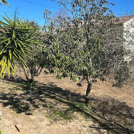 Casa Machja Holiday home Talasani